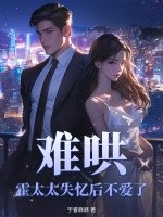 �Ѻ壬��̫̫ʧ��󲻰���